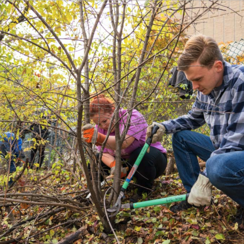 Two individuals are involved in environmental conservation work