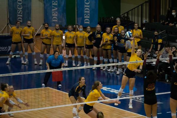 Blugold volleyball game in St. Louis