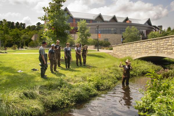 Freshwater Collaborative