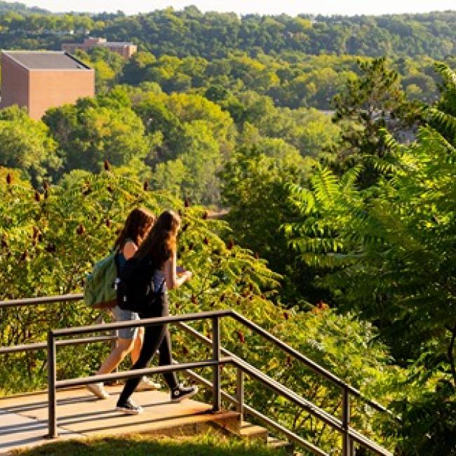 students at top of stairs headed to lower campus, lush green summer 