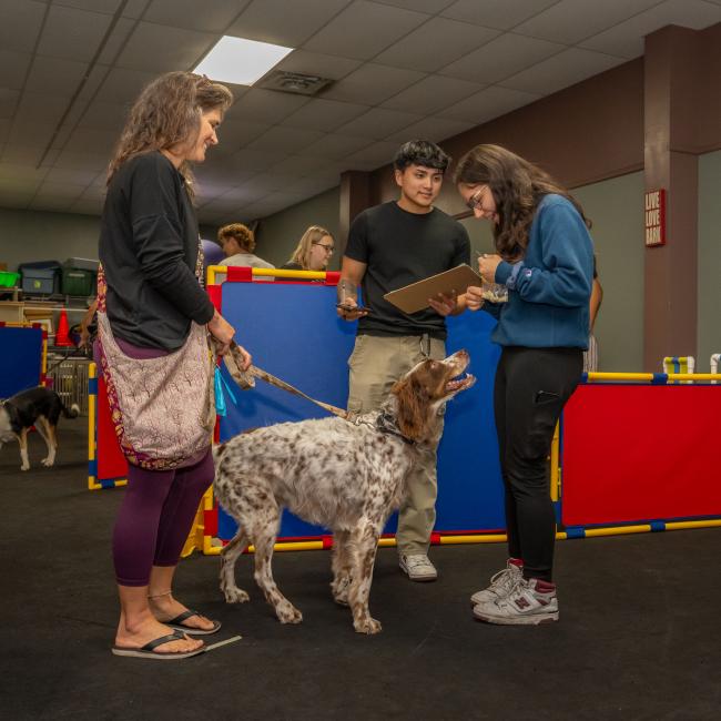 A woman holds a dog's leash while the brown and white spotted dog looks up at two students holding a clipboard.