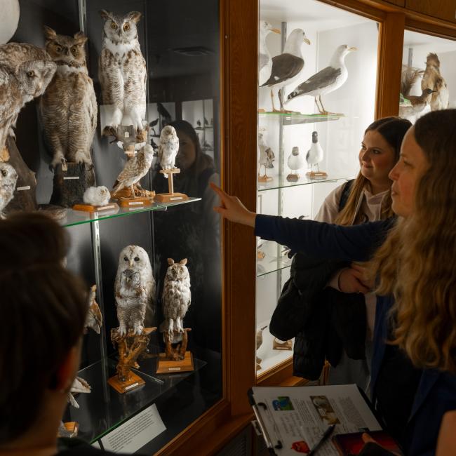A biology professor points at a bird display and shares some insight with students