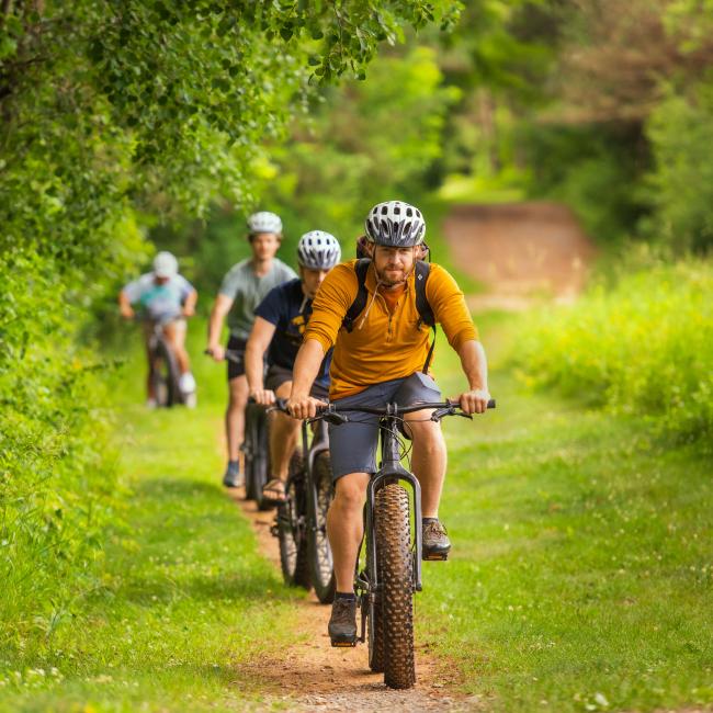 A group of bikers ride through a grassy trail in the summer