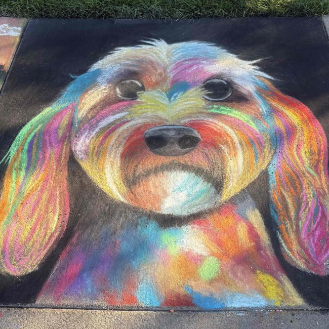 Chalk Drawing of a colorful dog | Chalkfest Audience Favorite runner up