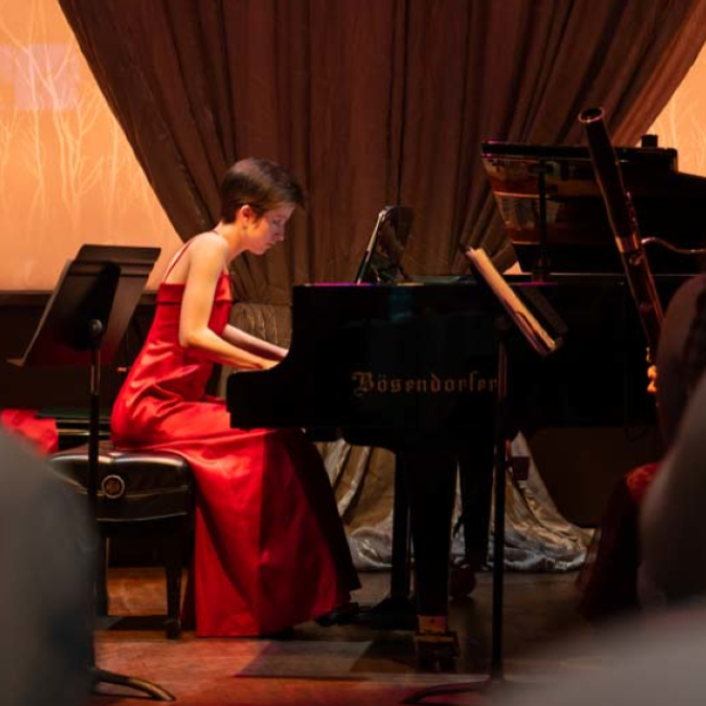 2025 Viennese Ball chamber ensemble Bosendorfer pianist in the Cabin