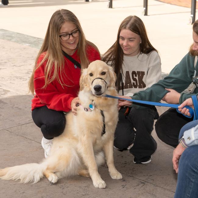 Students pet a dog on campus during the first day of school.
