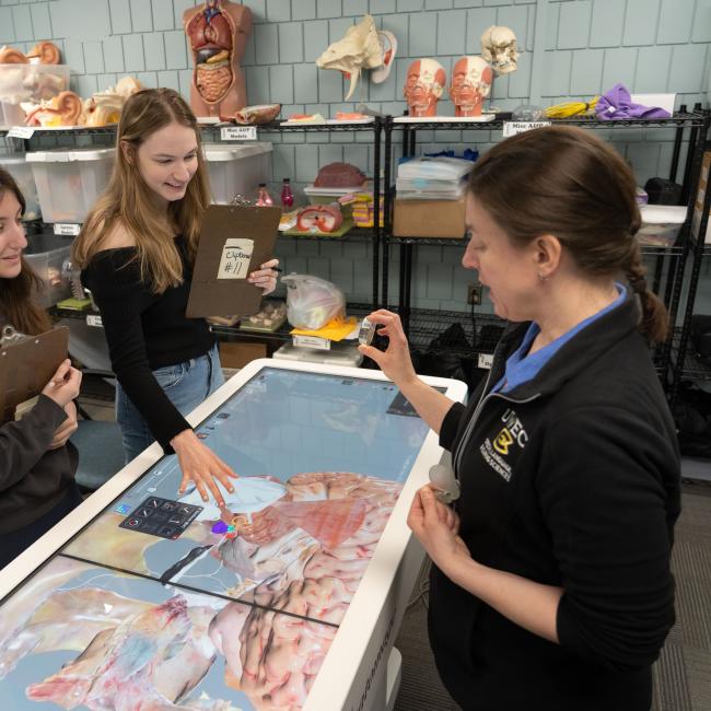 Students gather around an interactive table that showcases the inside of a brain.