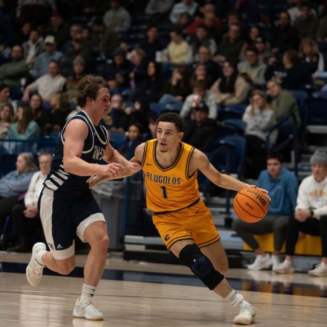 A Blugold basketball player dribbles the ball down the court.