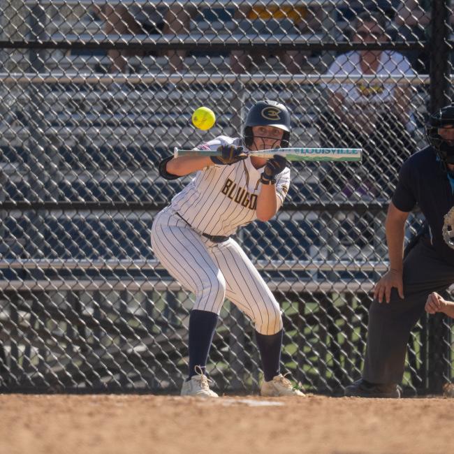 A Blugold softball player bunts a ball during a game.