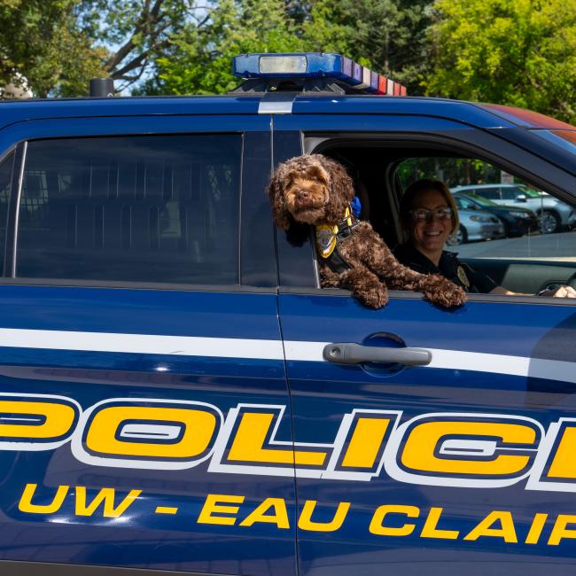 Mocha hangs out of a UWEC police car posing for the camera.