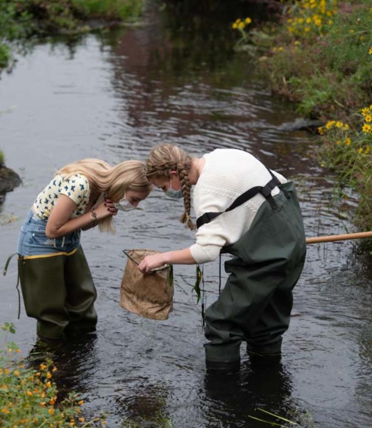 two biology students collecting specimen in the campus creek