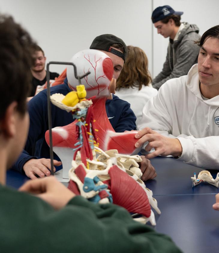 anatomy lab KINS biology