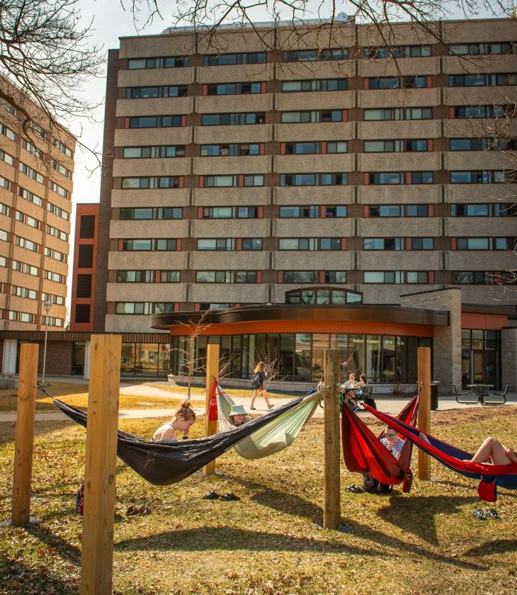 hammocks hanging on upper campus near residence halls