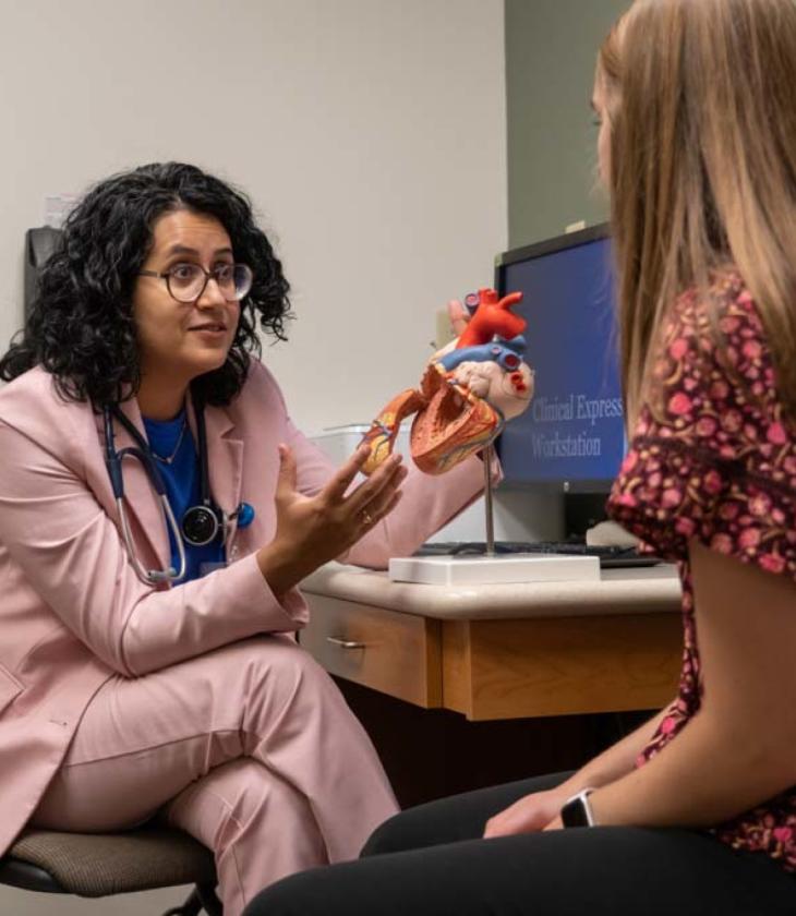 Mayo clinician and a student looking at a model heart in an office 