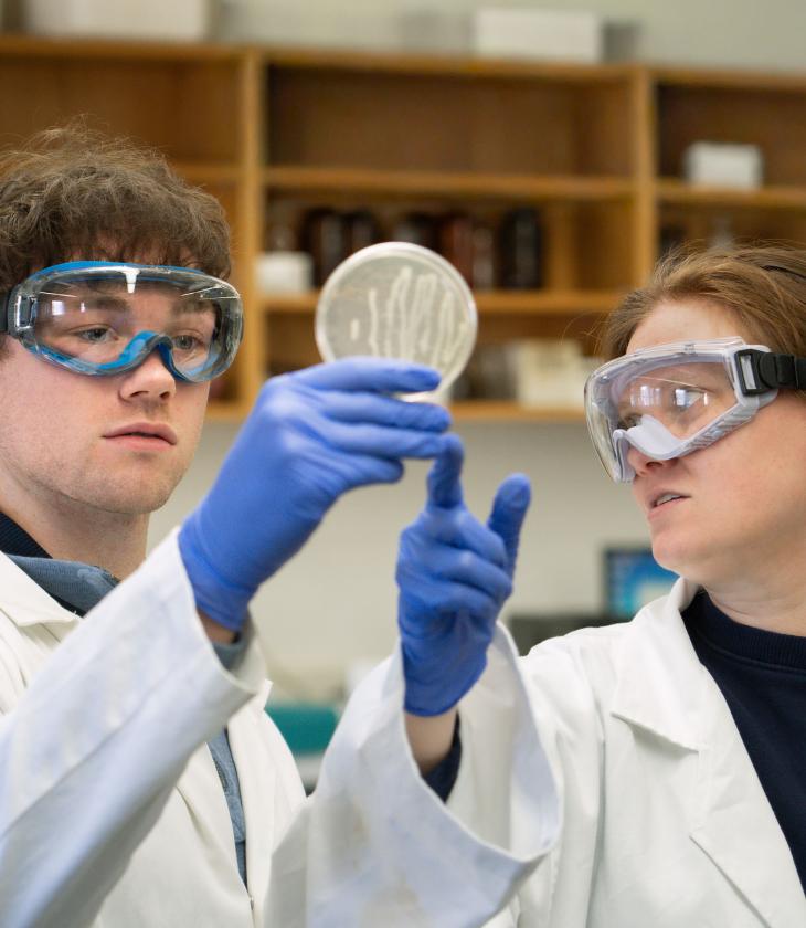Two students hold up a petri dish and discuss what they see. The students are wearing safety glasses and coats.