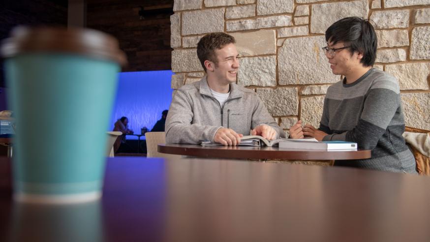 Language tutoring, Chinese