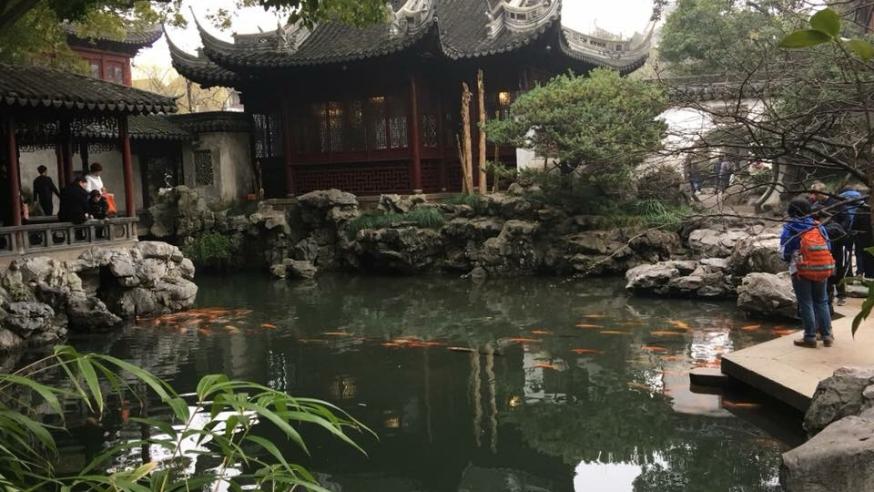 Pond and garden in China