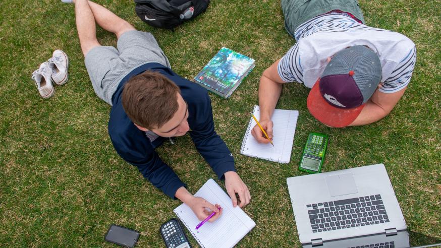 students studying on the lawn