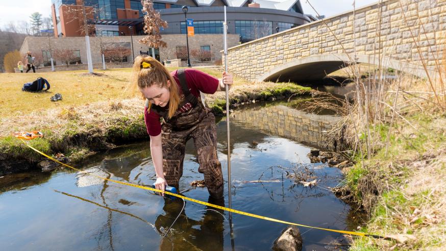 geology research in Niagara creek