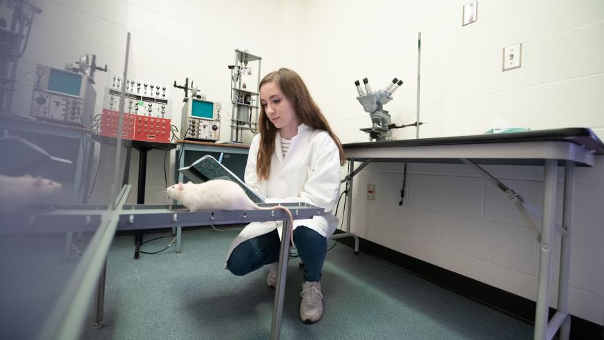 neuroscience research using animals
