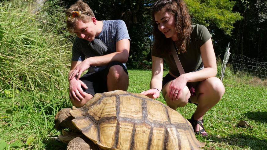 students with tortoise in Hawaii