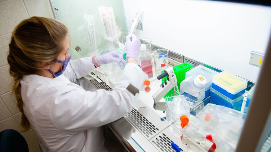 genetics research in biochemistry 