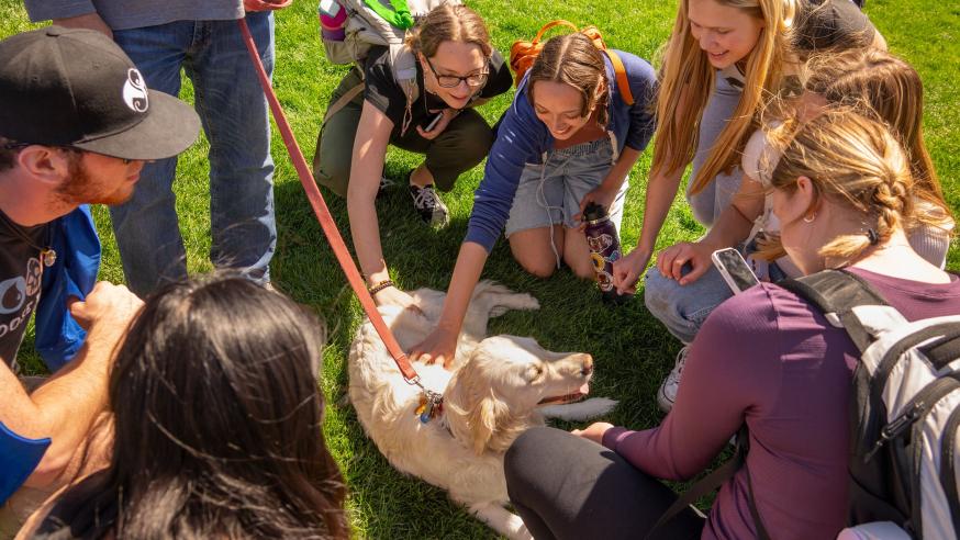 students petting a white dog outside on the lawn of campus