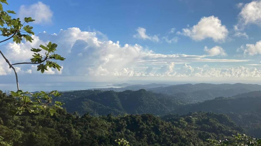 El Yunque Rain Forest in Puerto Rico