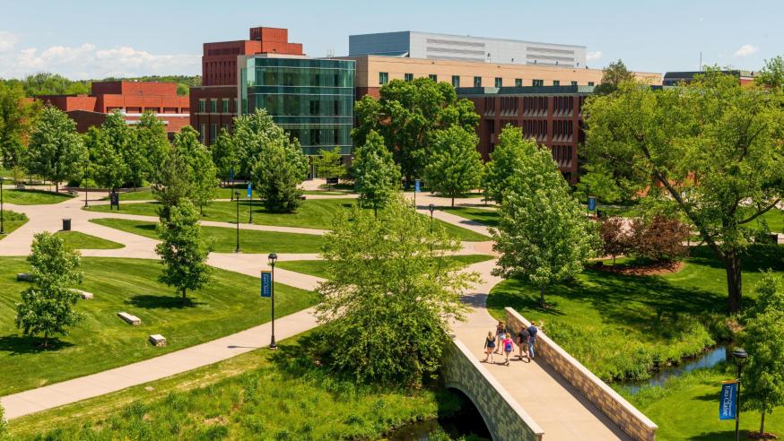 Campus mall from Davies roof summer