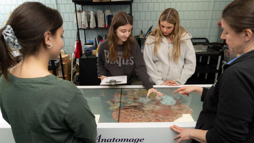 Students use a digital table touchscreen, which is showing the anatomy of a human brain.