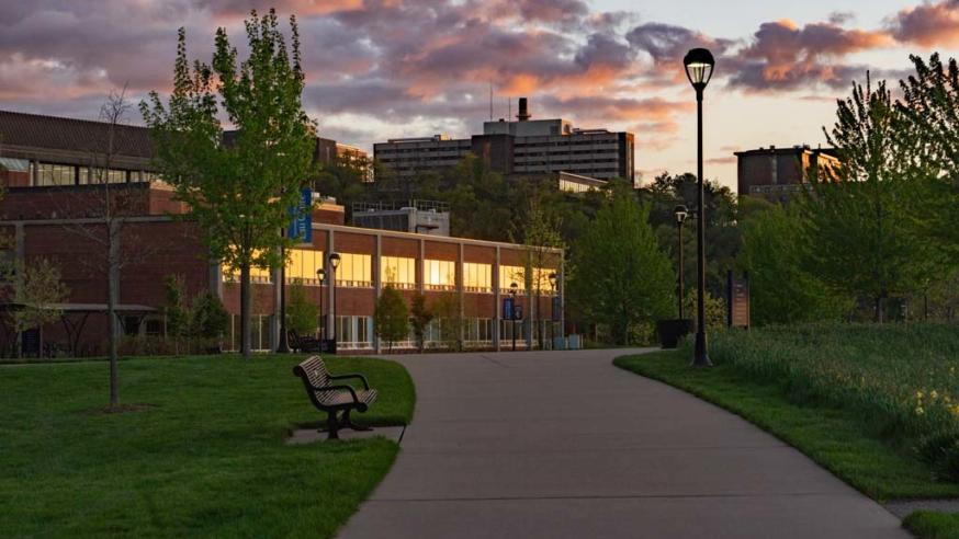 Evening light on campus windows 
