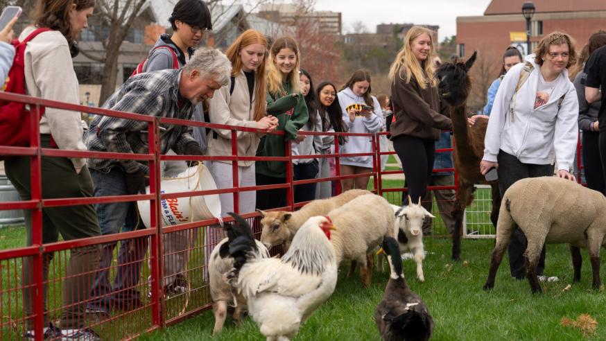 Ducks, chickens, and goats contained by a fence and students surrounding the fence.