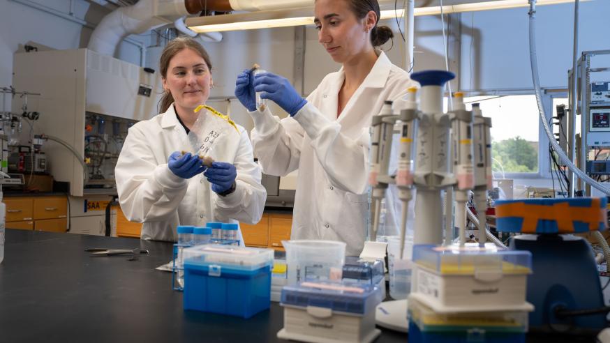 Dr. Bridget McGivern Alena Donahue cranberry soil microbiome research Phillips lab