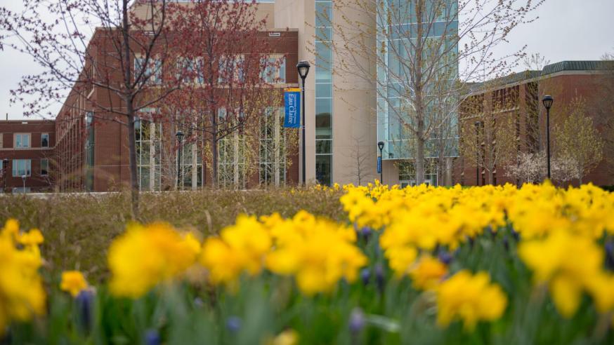 Centennial with daffodils
