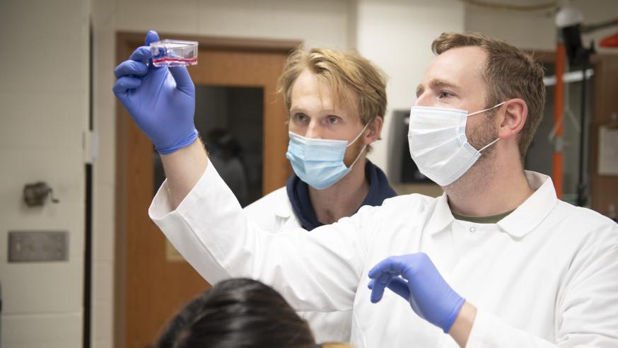 Zach Caterer (left) will present the undergraduate student research he is doing with Dr. Michael Walsh (right) during the Research in the Rotunda event in March in Madison. (Photo by Shane Opatz)