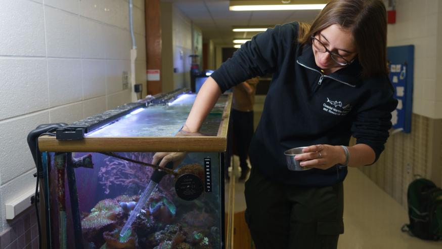 Alaina Steinmetz is a member of UW-Eau Claire’s Reef Team student organization. (Photo by Bill Hoepner)