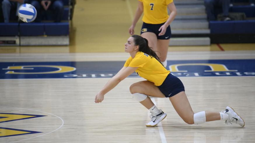 Arianna Barrett volleyball 4