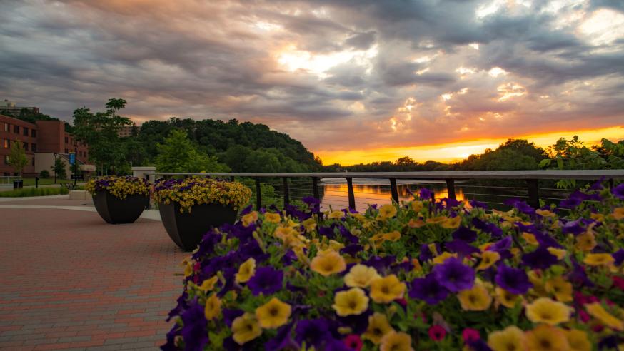 flowers and sunset by Chippewa River