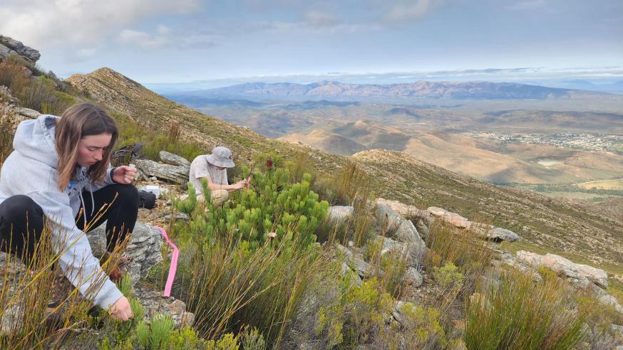 Nora Mitchell South Africa research