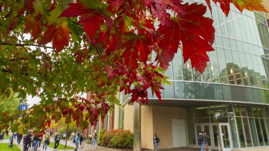 Red leaves on the maple trees in front of Centennial Hall