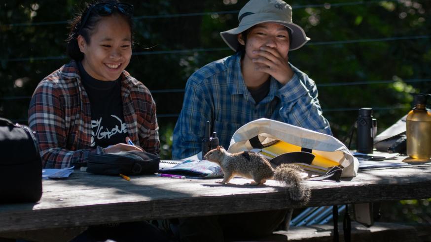 two students working at an outdoor table, a squirrel is on the table; surprised and laughing faces on the students