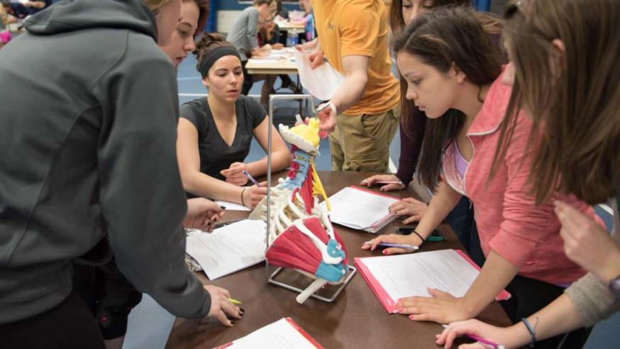 Kinesiology students work on a project