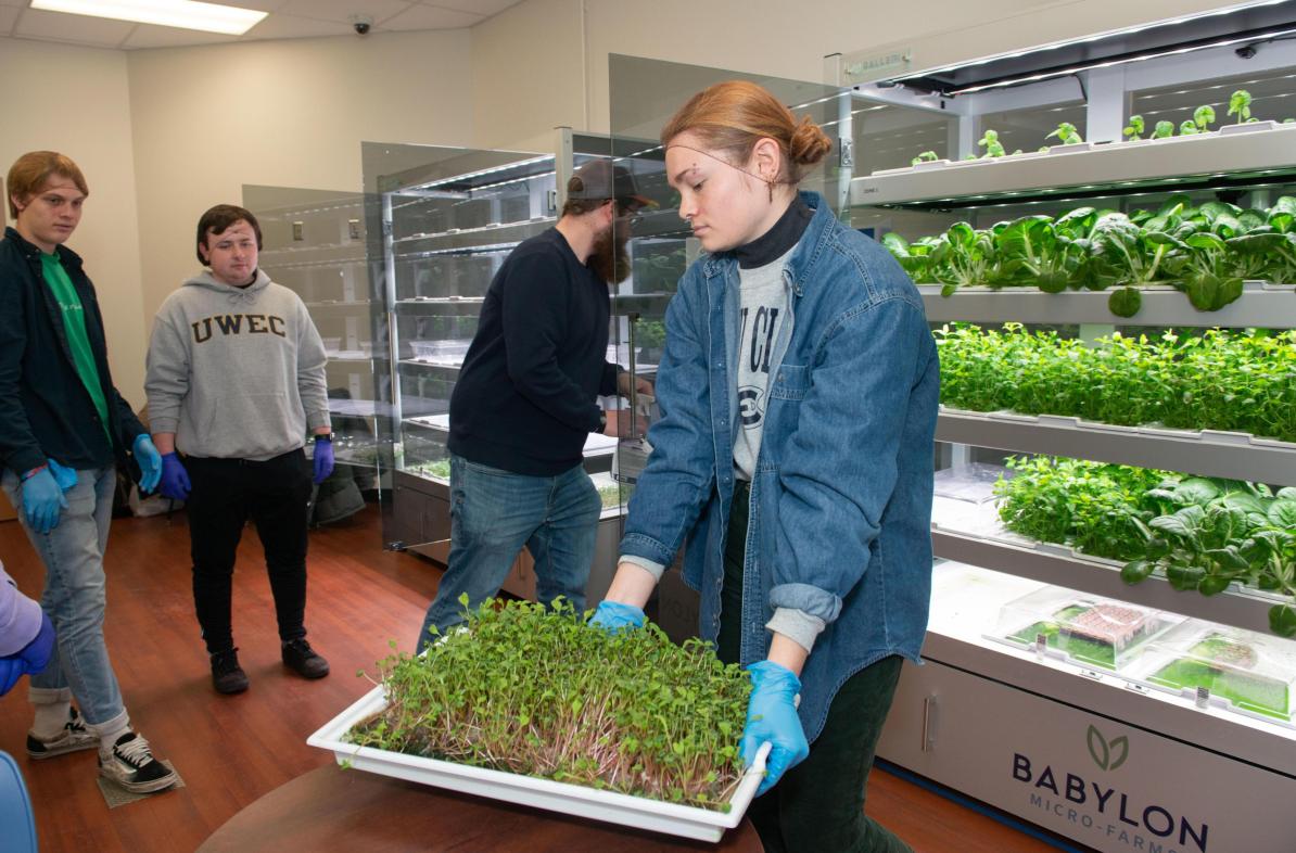 Student holds tray of green sprouting seedlings