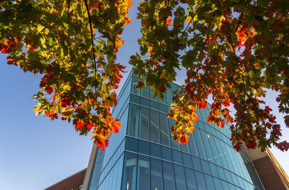 fall scene