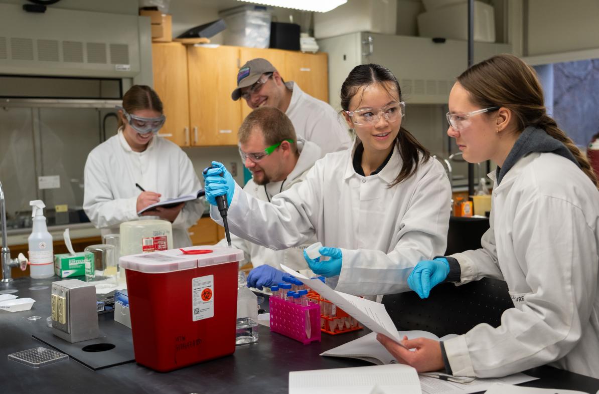 Biomedical Engineering students work in a lab
