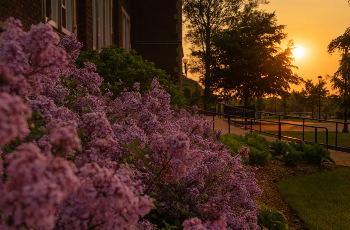Campus beauty