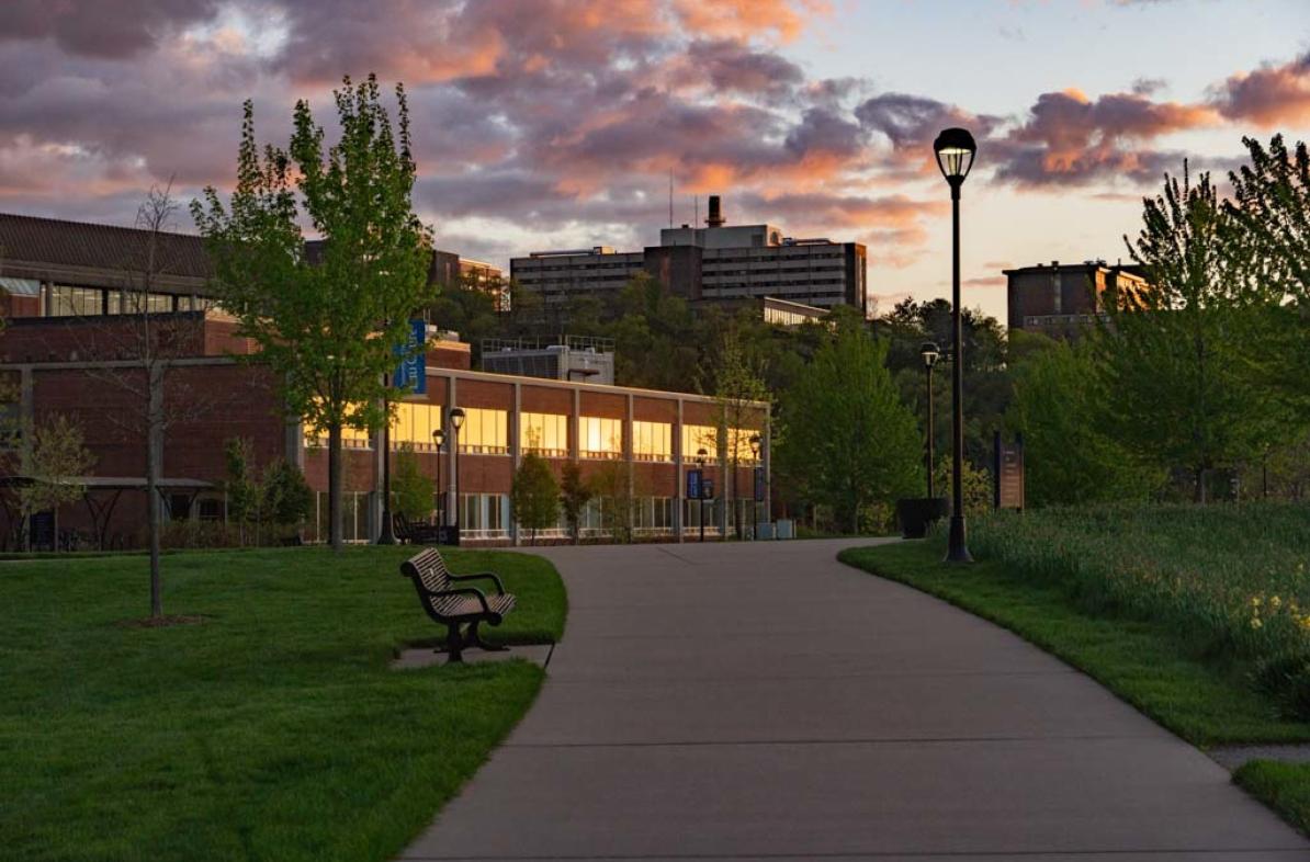 Evening light on campus windows 