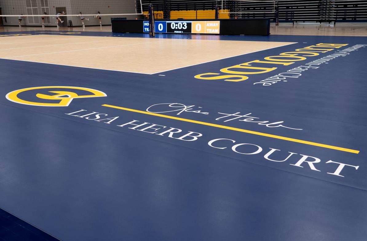 New court at Sonnentag for volleyball 