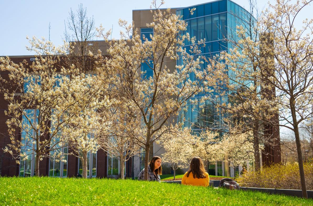 Two students sit under newly budded trees on a sunny Spring day.