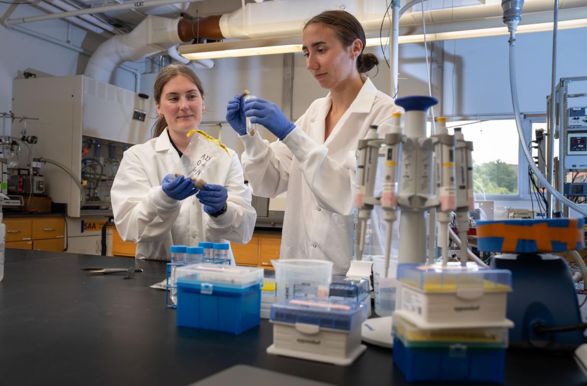 Dr. Bridget McGivern Alena Donahue cranberry soil microbiome research Phillips lab